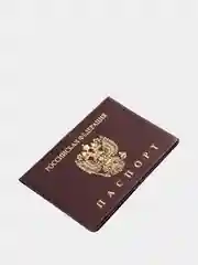 Багровый обложка на паспорт