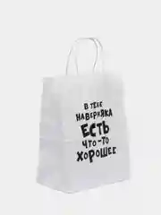 Серебряный крафтовые подарочные пакеты с приколами белые, размер 24 х 14 х 30 см