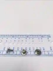 Хольнитены сталь 9мм уп. 25 шт