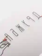 Коралловый термонаклейка для одежды, 39 видов