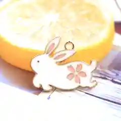 Прозрачный женская подвеска Котик, основа, на шею на запястье ожерелье, сеттинг, кулон, цепочка