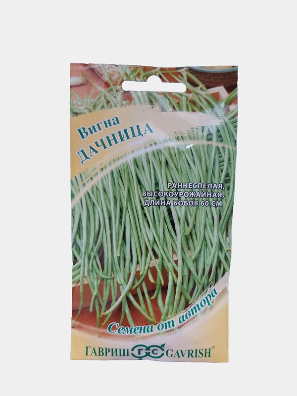 Вигна дачница