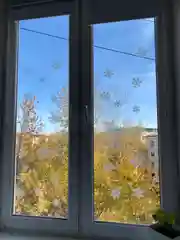Зеленый наклейка интерьерная новогодняя двухсторонняя многоразовая