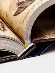 Гравити Фолз. Дневник 3, Алекс Хирш, Роб Ренцетти