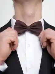 Галстук-бабочка