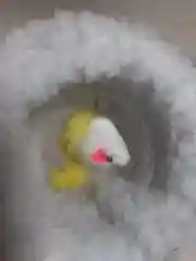 Игрушка  для кошек +  когтеточка