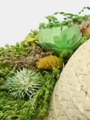 Зеленый декоративное настенное украшение Lillo "Шляпа с цветами", 29 см