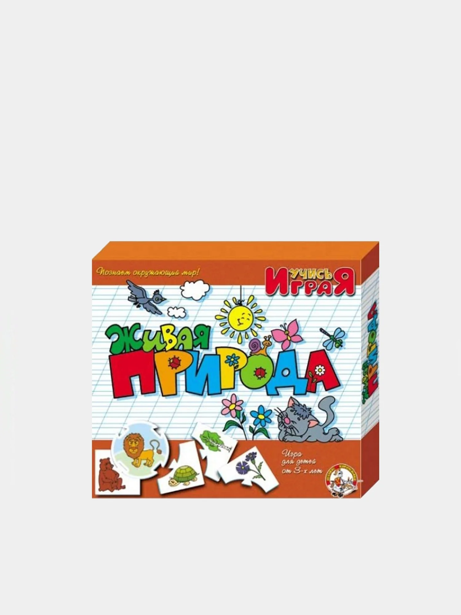 Морской настольная игра для детей "Учись играя" в коробке