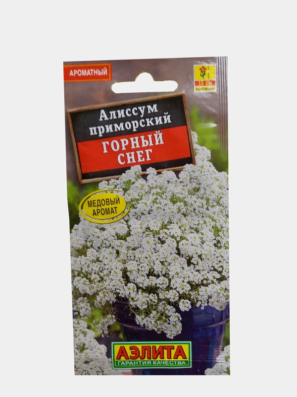 Алиссум приморский горный снег