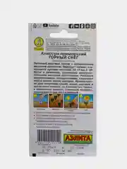 Алиссум приморский горный снег