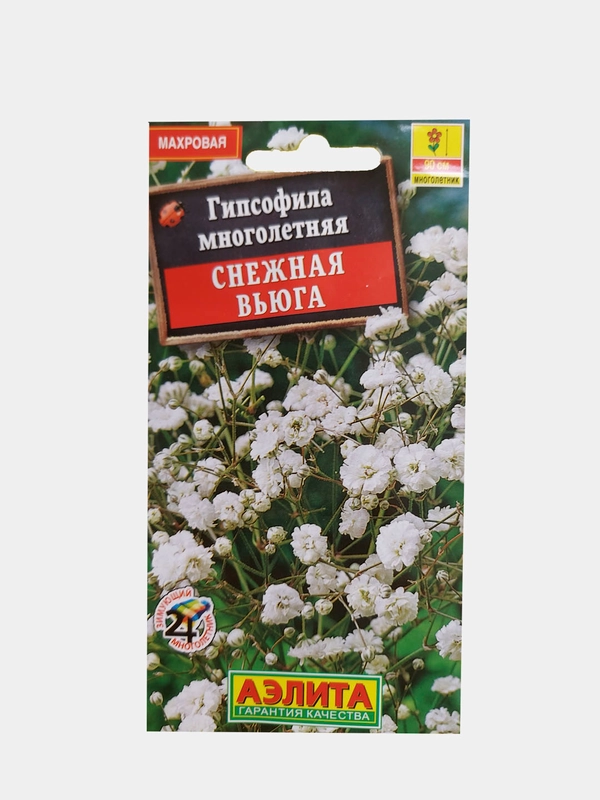Гипсофила многолетняя "Снежная вьюга"