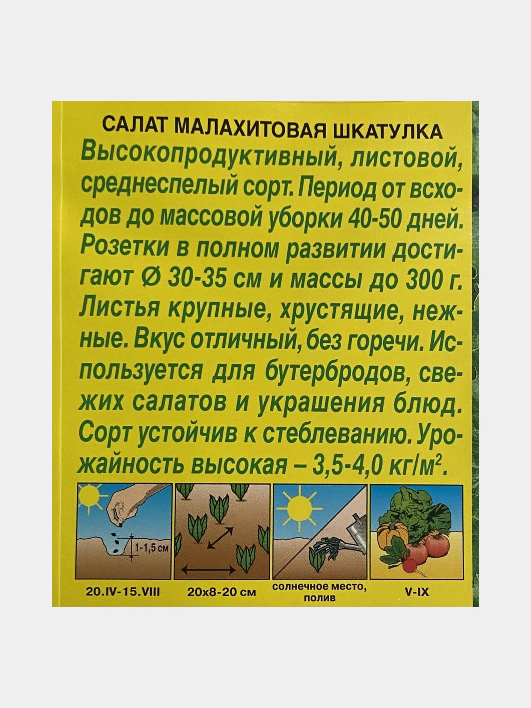 Семена Салат "Малахитовая шкатулка"