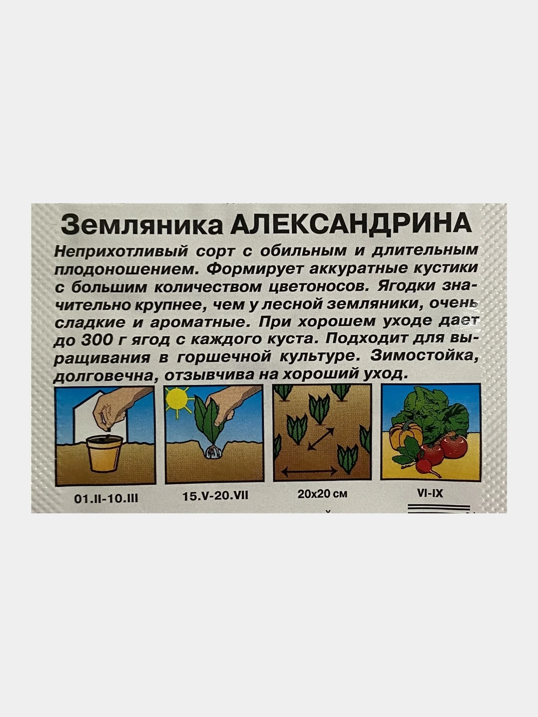 Земляника Александрина, семена