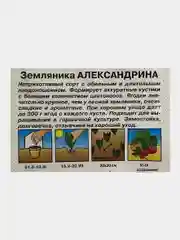 Земляника Александрина, семена