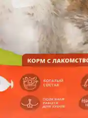 Корм Зоомир с лакомством для зерноядных грызунов "Хомка-лакомка", 500 г