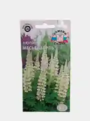 Люпин Месье Шарль (семена)
