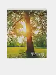Набор 3 шт. Тетрадь 48 листов