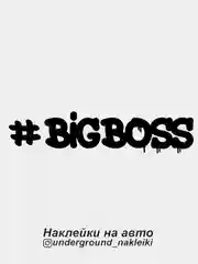 Наклейка на автомобиль #bigboss