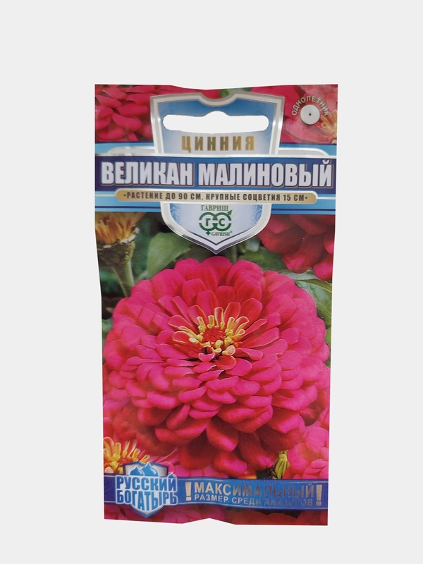 Цинния Великан малиновый, смена, цветы