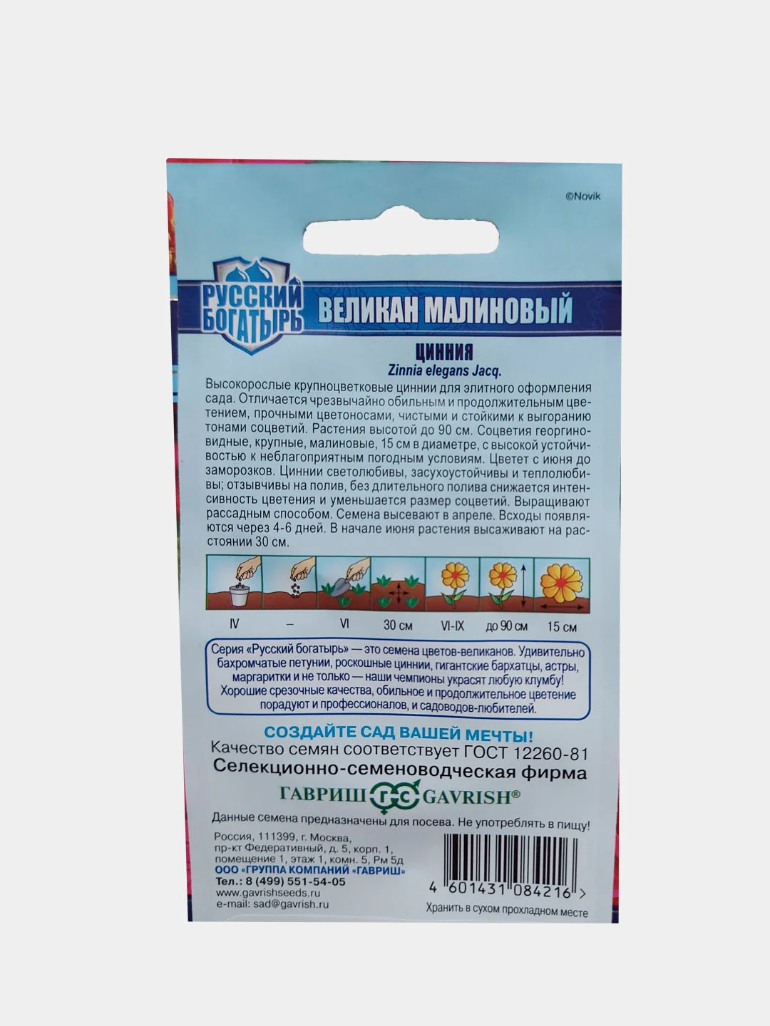 Цинния Великан малиновый, смена, цветы