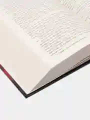 Голодные игры. И вспыхнет пламя. Сойка-пересмешница, Коллинз С.