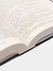 Голодные игры. И вспыхнет пламя. Сойка-пересмешница, Коллинз С.