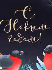 Темно-синий новогодняя коробка конфета