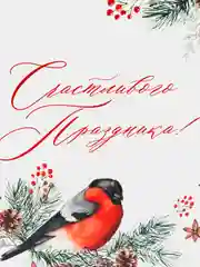 Белый подарочная коробка Новый год
