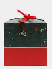 Зеленый новогодняя коробка квадратная
