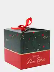Зеленый новогодняя коробка квадратная