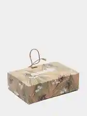 Бежевый новогодняя коробка