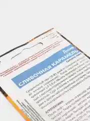 Дыня Сливочная карамель (семена)