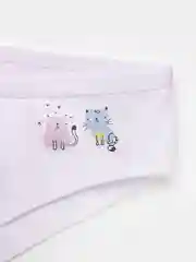 Трусы женские, хлопковые