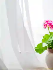 Тюль / Цвет-белый холодный/Тюль в гостиную/Тюль в спальню/Тюль для комнаты,270х300/270x500