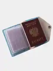 Ледяной обложка для паспорта с вкладышем, натуральная кожа