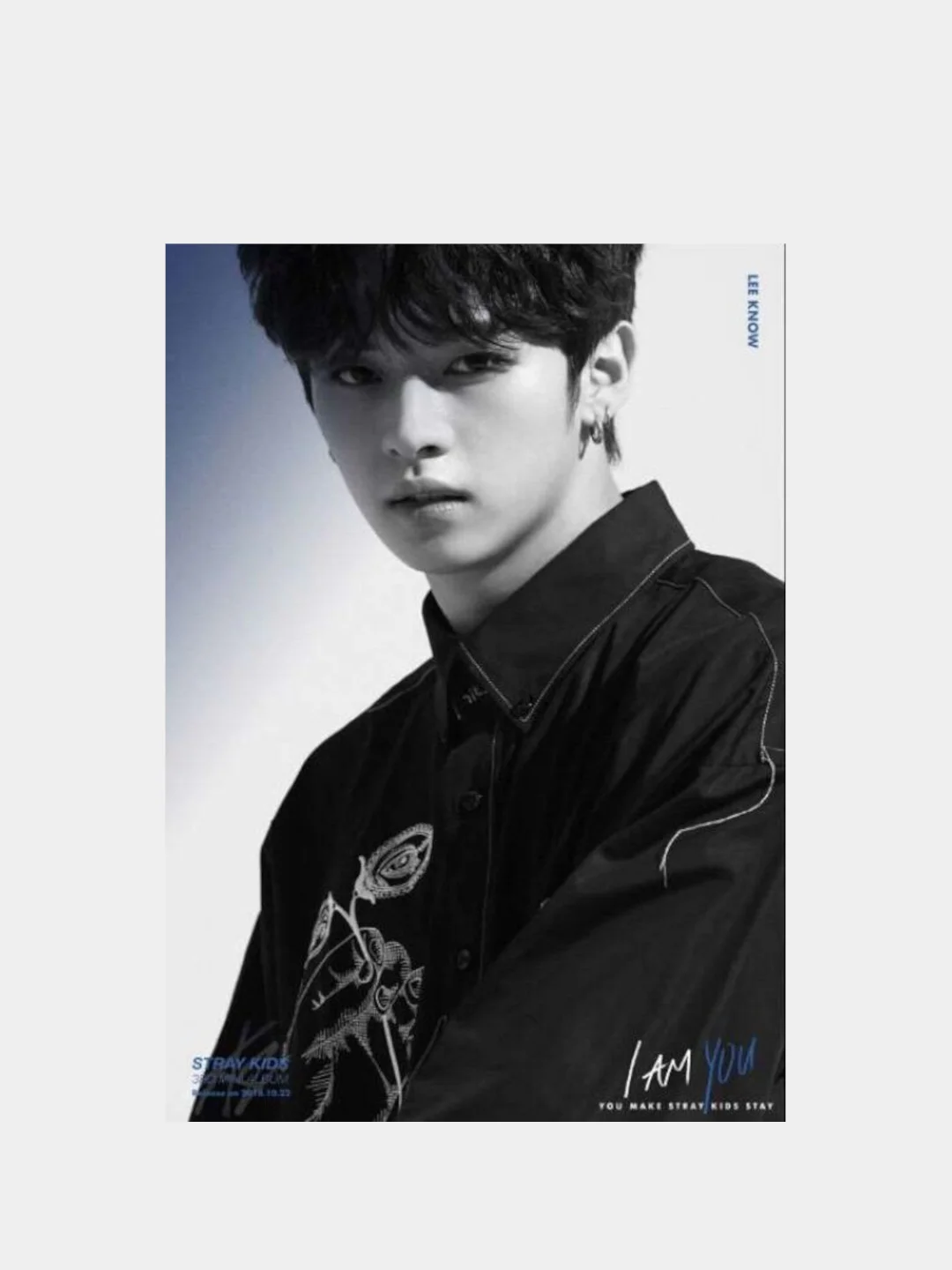 Набор фотографий в крафт конверте с принтом, группы Stray Kids