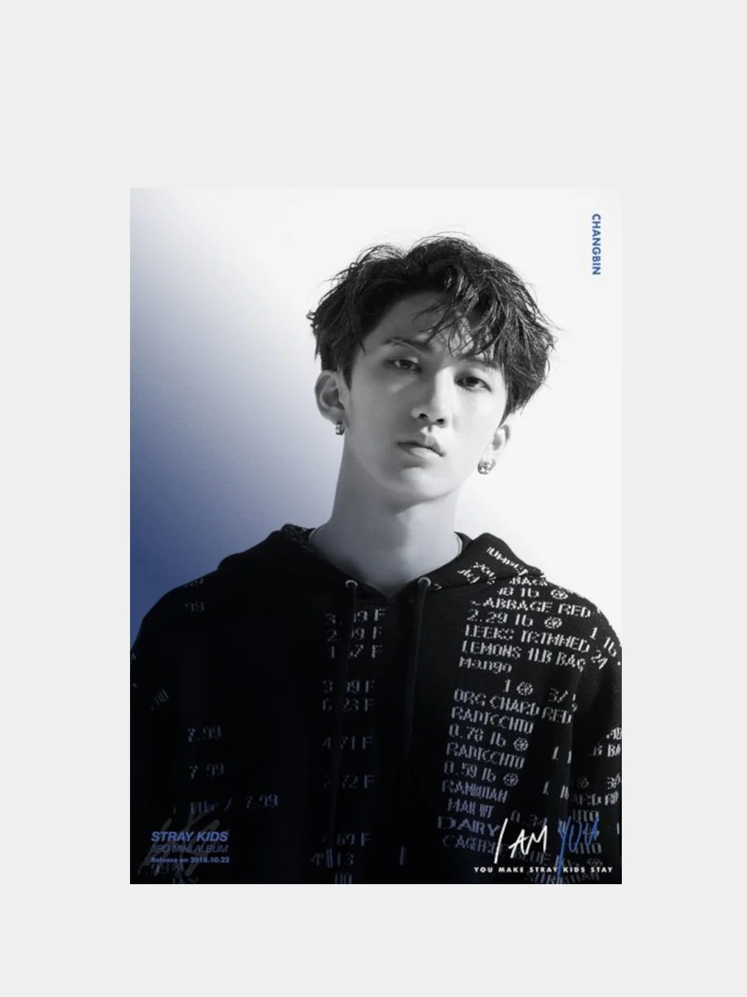 Набор фотографий в крафт конверте с принтом, группы Stray Kids