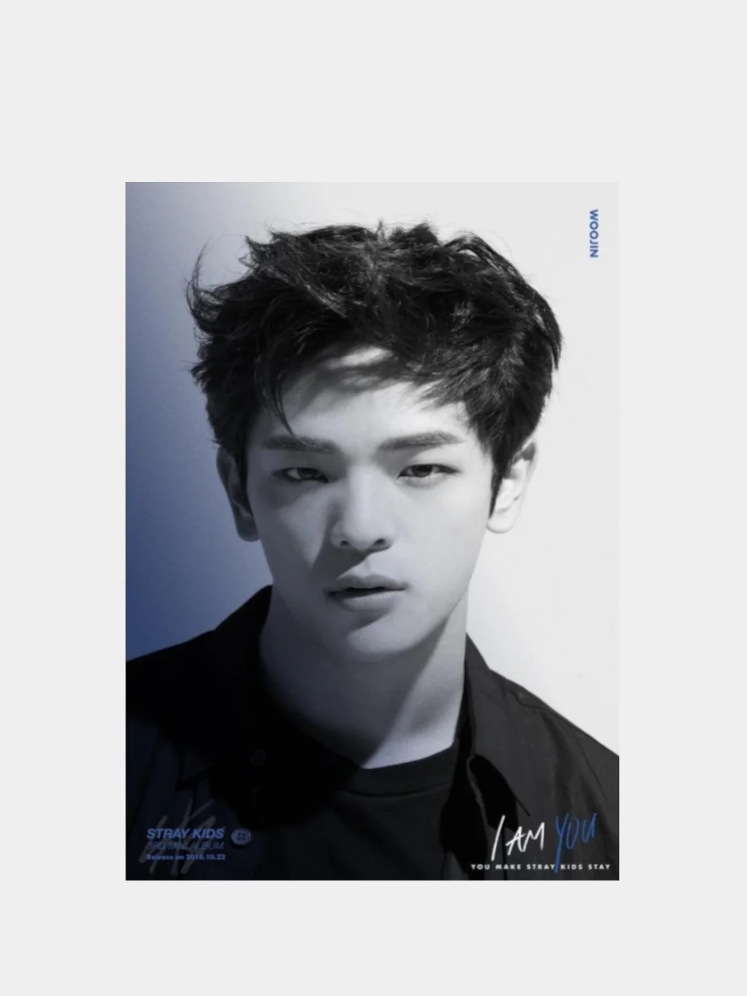Набор фотографий в крафт конверте с принтом, группы Stray Kids