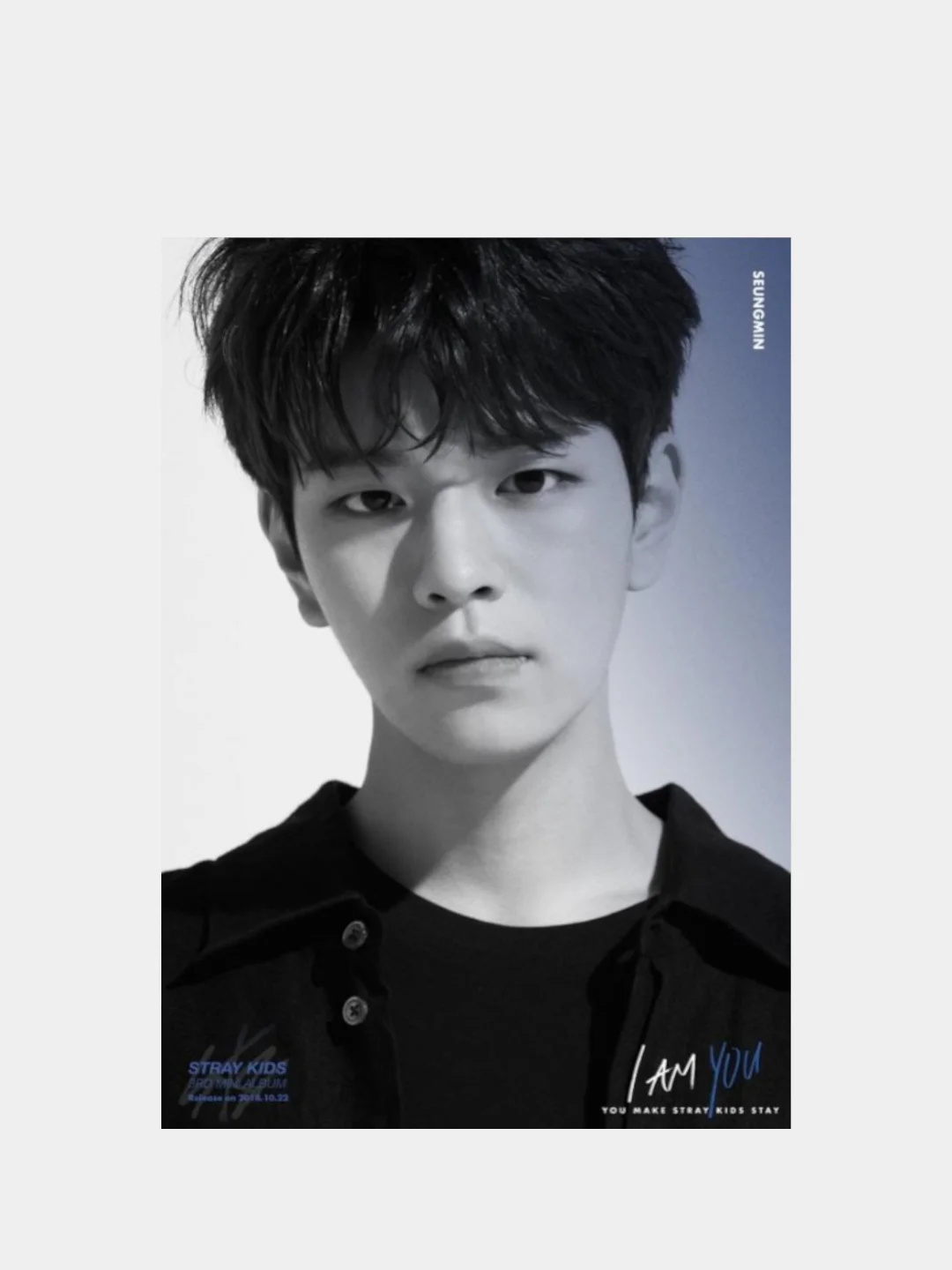 Набор фотографий в крафт конверте с принтом, группы Stray Kids