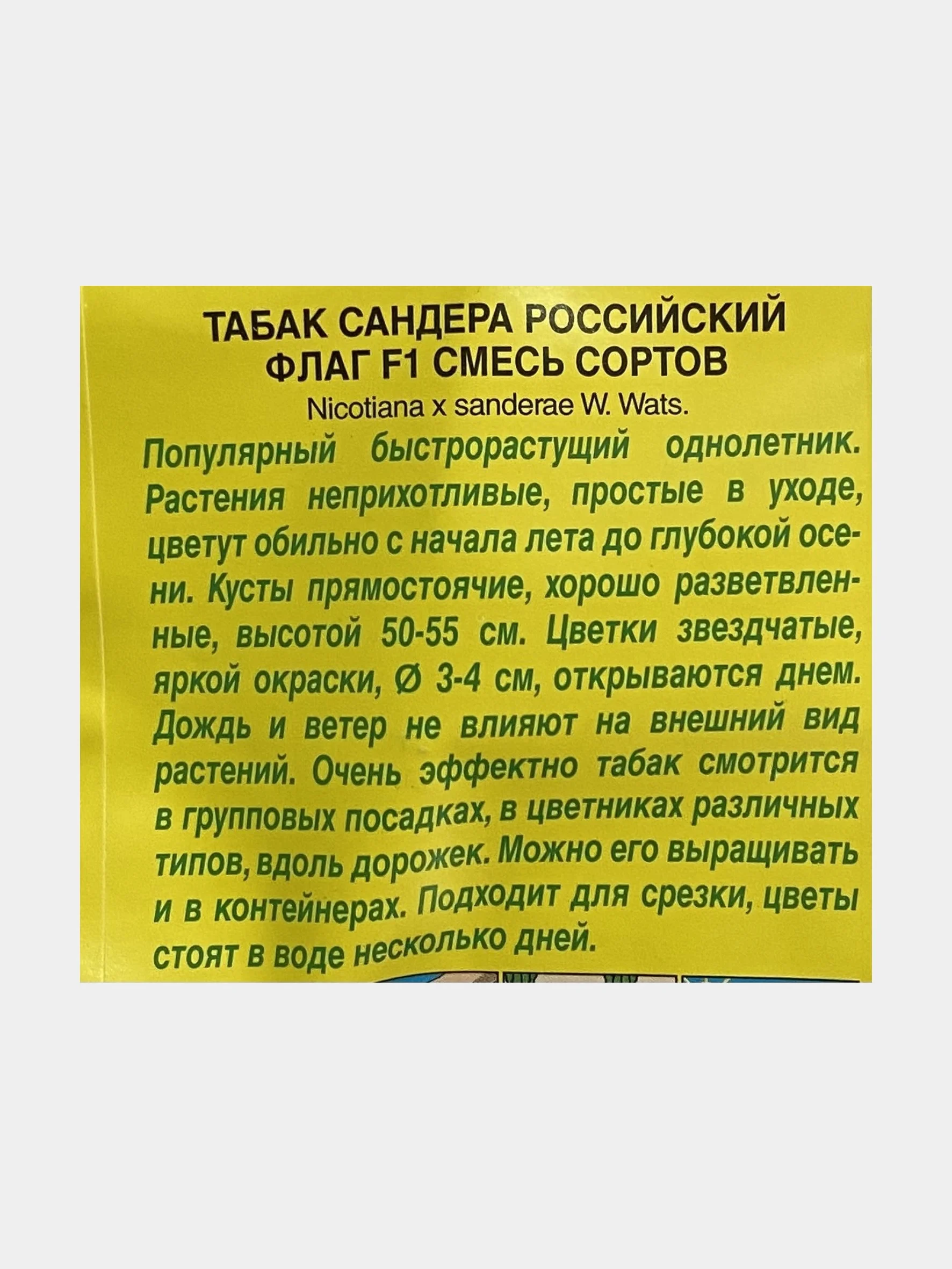 Табак сандера Российский флаг (семена,цветы)