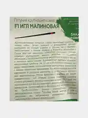 Петуния Игл малиновая, семена, цветы