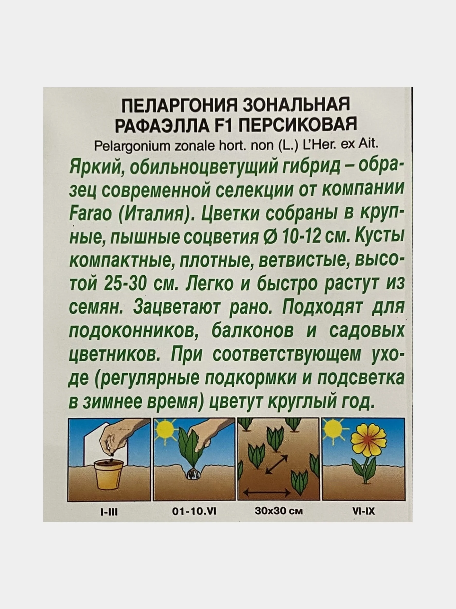 Семена цветов Пеларгония зональная "Рафаэлла персиковая"