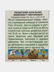 Семена цветов Пеларгония зональная "Рафаэлла персиковая"