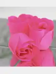 Мыльные розочки, набор 3 шт