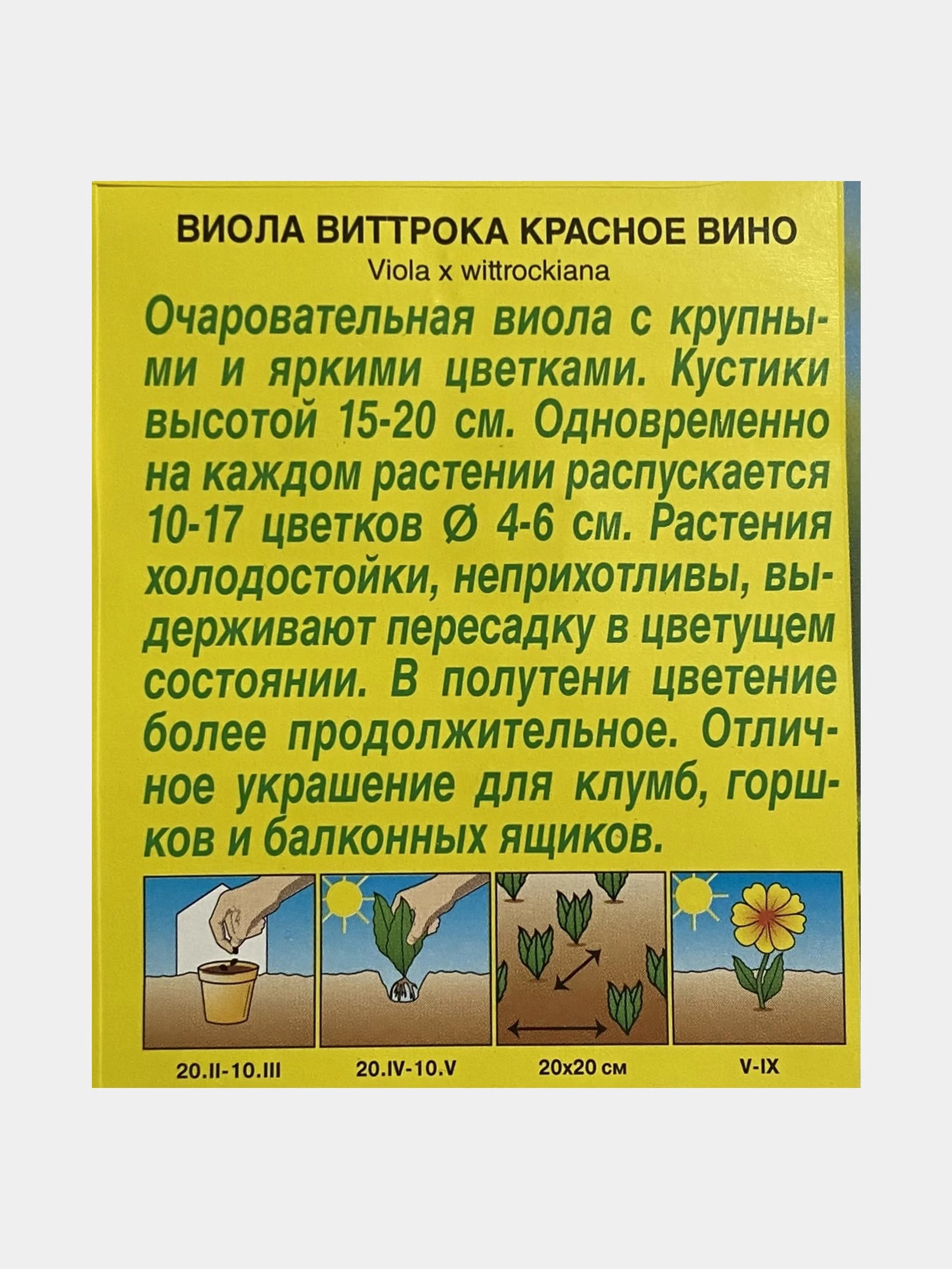 Семена цветов Виола Виттрока "Красное вино"