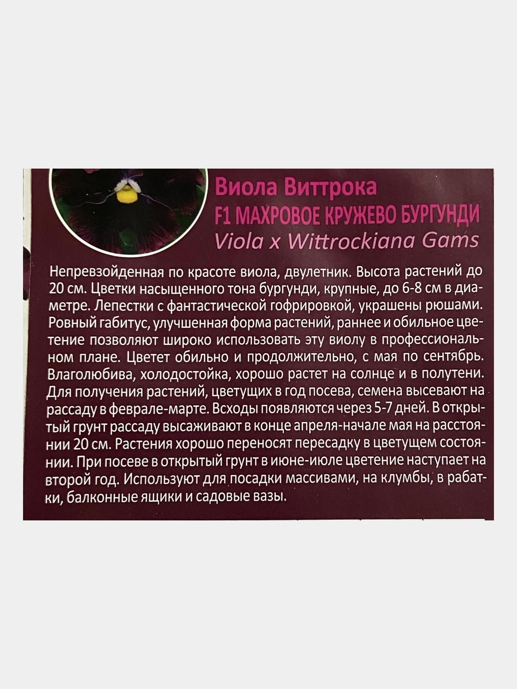 Семена цвета Виола Виттрока "Махровое кружево бургунди"