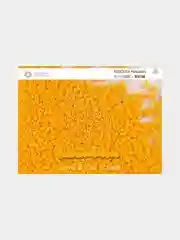 Светло-оранжевый чешский бисер Preciosa 10/0, Natural opaque (10, 50 грамм)