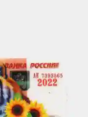 Магнит новогодний "Купюра"