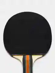 Ракетка для настольного тенниса Atemi 700 CV