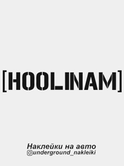 Наклейка на автомобиль Hoolinam